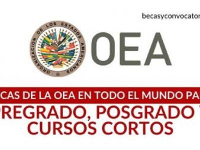 Becas OEA